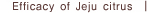 Efficacy of Jeju citrus