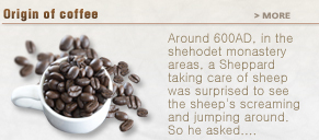 Origin of coffee